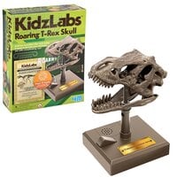 Kidzlabs/Dino Skull