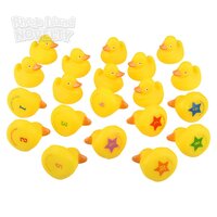 2" Rubber Ducky Matching Game 20pcs/Unit